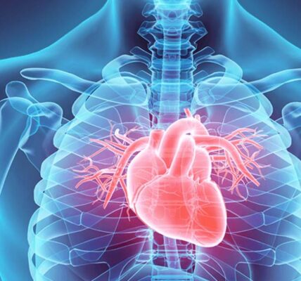 Hypertrophic Cardiomyopathy: Exploring the Complexities Behind the Veil