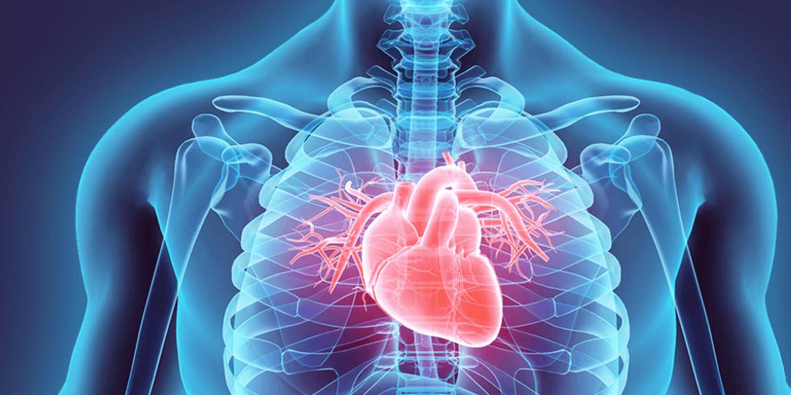 Hypertrophic Cardiomyopathy: Exploring the Complexities Behind the Veil